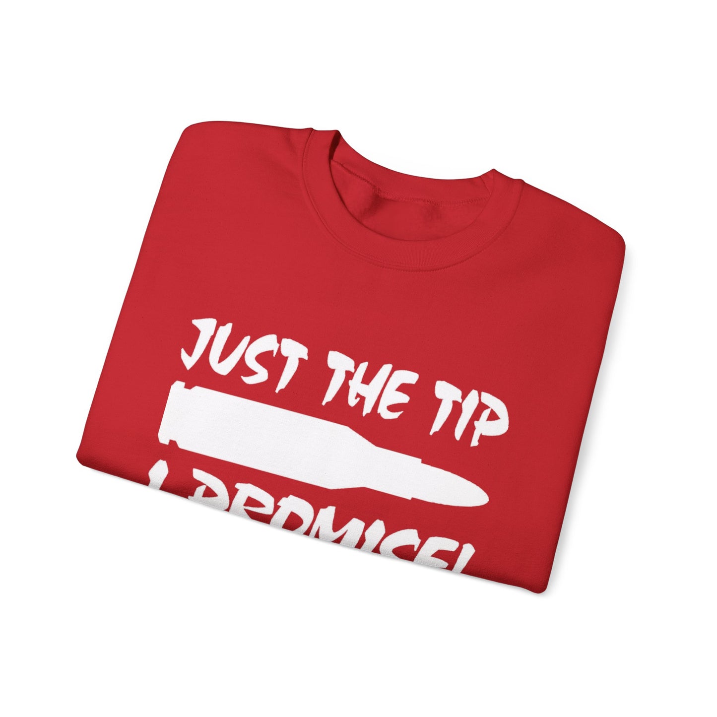 Just The Tip I Promise Cozy Unisex Crewneck Sweatshirt, Casual Wear, Personalized Gift, Fall Fashion, Comfortable Layering
